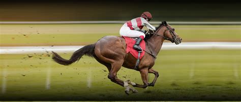 Horse Racing API: Real.